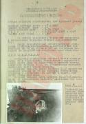 61165_Stoikost_korpusa_k_obstrelu.