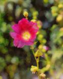 6116IMG_5057_DAP_JoaquinHD.