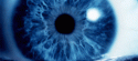 61294574230_0_0_3748793_0_0_ce28c80f0f54_tlog_tlog.