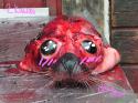 61349_800px-Skinned_seal_head1.