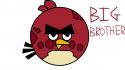 61411_bigbrother.