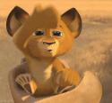 61531251735961_madagascar.