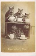 61616_five_oclock_tea_1.