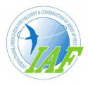61646_iaf.