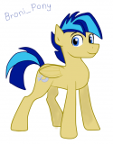 61660_Broni_Pony.