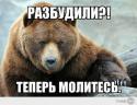 61670_392133_original.