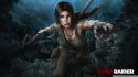 61684_tomb_raider_2013_wolves-wallpaper-1920x1080.