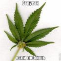 61917_1001mem-3TFlMxIF.