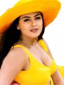 62135_simran-in-yello-swimsuit-bikini-1.