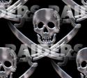 6221raiders-nation-skull-bones.