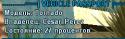 6222Bez_imeni-1.
