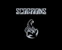 6238Scorpions.