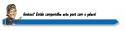 62536_2edsd.