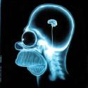 62869_homer_simpson_xray.