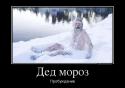 62903_ded-moroz.