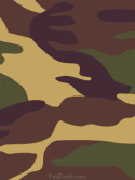 63049_camouflage240x320.
