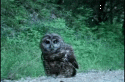 630689462675146470_gifs_09.