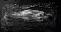 63148_vauuuyach.