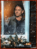 63419_UrslookinatsnowfallthruwindowGIF-2.