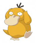 6346054Psyduck.