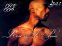 63652pac-rip2.