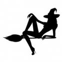 63655_7260486-beautiful-sexual-witch-sits-on-a-broom.