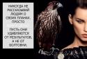 63782_5006055-R3L8T8D-600-Vyskazyvaniya-8.