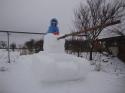 6378image009.