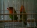 63790_IMAG0008.