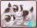 64030_7c7f03ddd3345f157c87cfa4eb95.