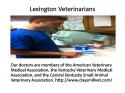 64035_Lexington_Veterinarians.