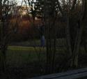 640IMG_1763.