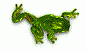 6439frogwalk1.