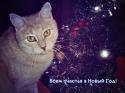 6442_Schastya_v_novyi_god.