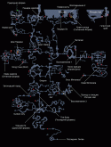 644Aquaria_world_map.