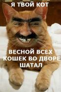 64596_x_ec87dc67.