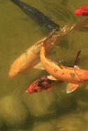 6474IMG_0733.
