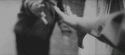 64794288366_0_0_tumblr_lrs3balh2l1qlpzbao1_500_tlog.