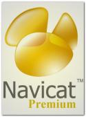 6481navicat_premium_enterprise_v912_eng_2010_832272.