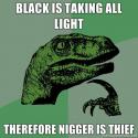 6499Black-is-taking-all-light-Therefore-nigger-is-thief.