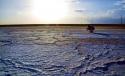 65034_21-1300-Solyanoe_ozero_v__Atyrau-DSC_0792_novyi_razmer.