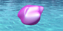 65110_GIF-to-upload.