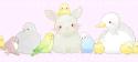 65236_birds-bunny-chick-cute-duck-Favim_com-469432.