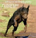 65340_ZZTpVJ5nhbY.