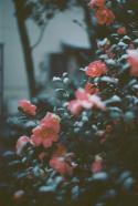 65363_ZkmW_X9zK_4.
