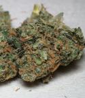 6542Dried_weed_marijuana.