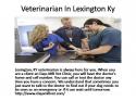 65489_Veterinarian_In_Lexington_Ky.