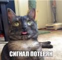 65597_OtIAKCvPsSg.