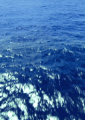 65609_tumblr_m6vd7xkRE71qg39ewo1_500.