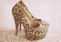 65706_fashion-heels-high-heels-leopard-shoes-Favim_com-406731.